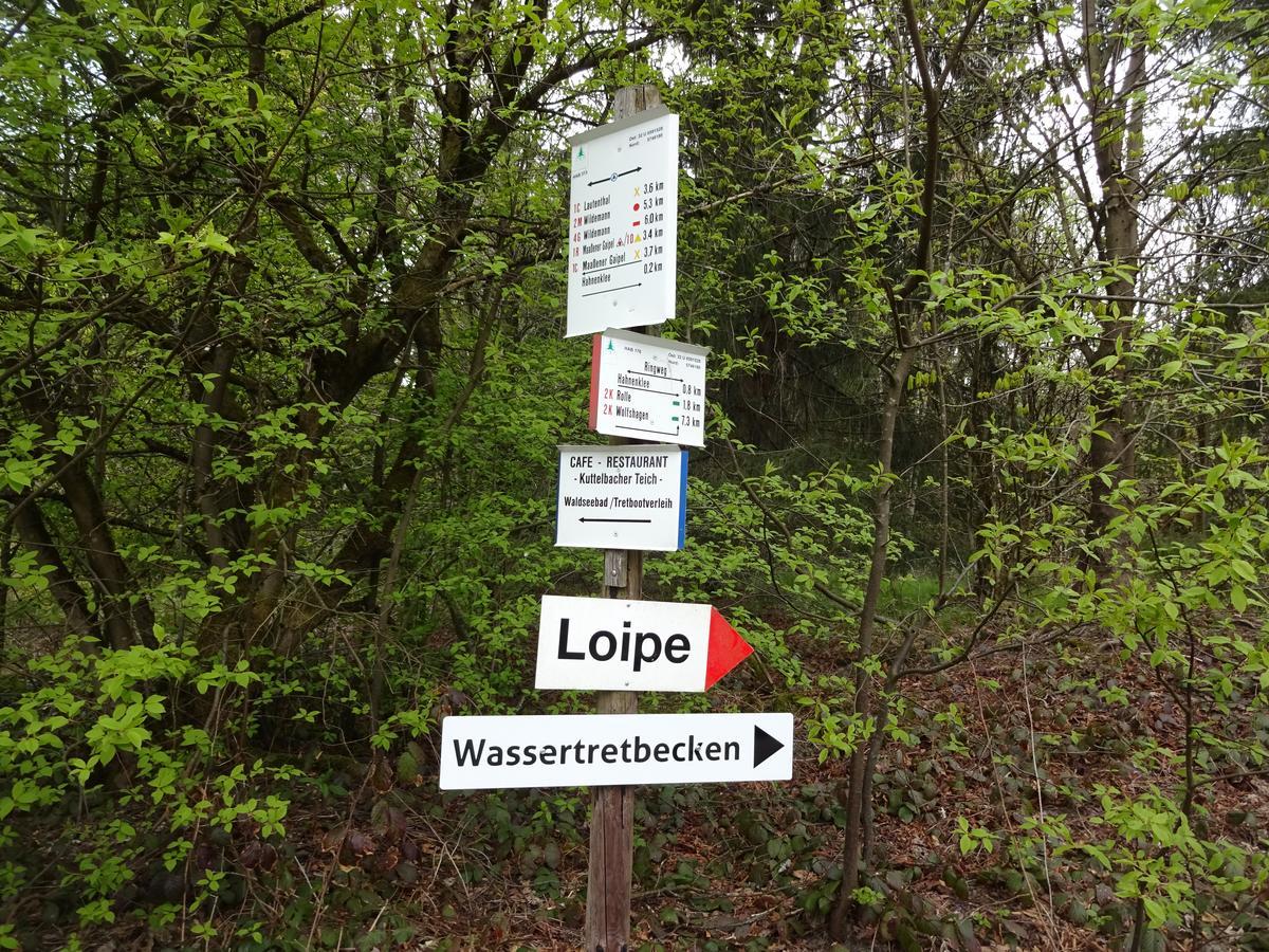 Henne Hahnenklee Lejlighed Goslar Eksteriør billede