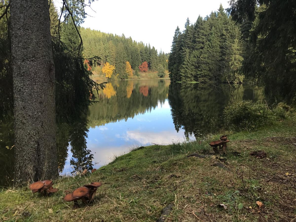 Henne Hahnenklee Lejlighed Goslar Eksteriør billede
